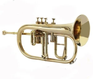 BRAND NEW 4 VALVE FLUGEL HORN BRASS FINISH Bb FLUGEL HORN+FREE CASE+MOUTHPIECE - Picture 1 of 3