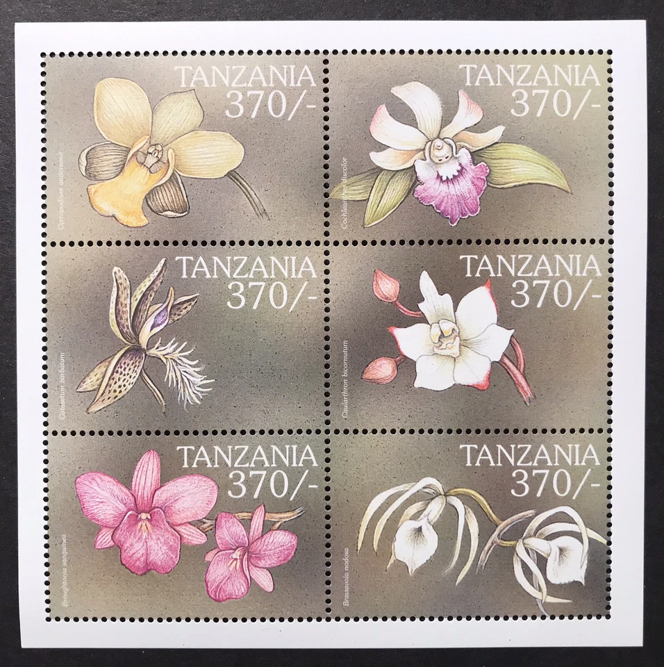 TANZANIA ORCHIDS STAMP SHEET 6v 2000 MNH ORCHID FLOWERS NATURE WILDLIFE FLORA - Image 1 of 1