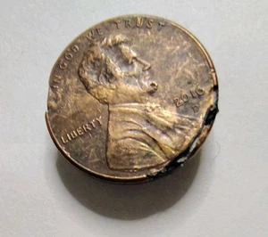 2016 D Shield Penny Lamination Error With Severe Peeling & Flakes - Picture 1 of 13