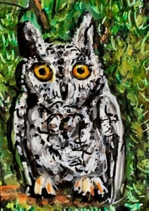 ORIGINAL ACEO Bird PAINTING Grey SCREECH OWL Nature Spring Pine Tree ATC ART - Picture 1 of 1