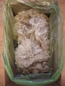 3 Pounds Unwashed Sheep Wool - Picture 1 of 1