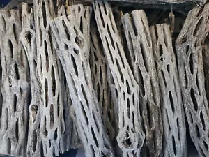 100 pieces CHOLLA Wood 6 Inches Organic Driftwood Craft Aquarium Chews 1”+ THICK - Picture 1 of 1