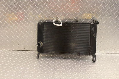 Yamaha FZ6R 2009 motor radiador motor enfriador refrigeración radiador doblado Foto 1 de 4