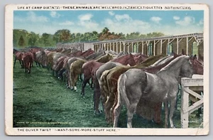 WW1 Life At Camp Dix Wrightstown, NJ -Army Horses Mealtime - Military Postcard - Bild 1 von 4