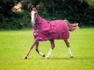 SHIRES TEMPEST ORIGINAL COMBO 200g MEDIUM WEIGHT ALL IN ONE TURNOUT - Picture 1 of 5