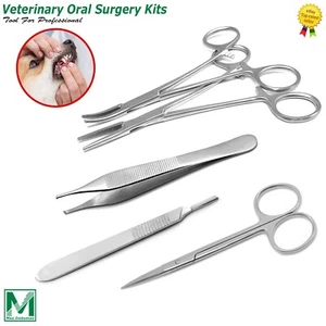 Veterinary Surgical Pliers Scissor Suturing Needle Holder Hemostatic Forceps Lab - Picture 1 of 7