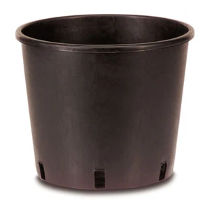Pot from Nursery Cultistop d.22 x H 22 CM Black Pack .25 Vases - Picture 1 of 1