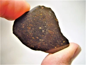 GREAT DEAL! FANTASTIC CHONDRULES! FABULOUS NWA 13758 R3 METEORITE SLICE! 8.4 GMS - Picture 1 of 8