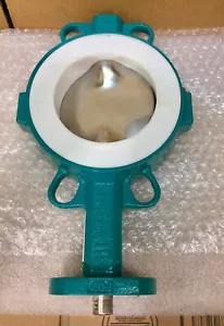 INTERAPP PN10/16/CL150 4" PTFE FORRADO VÁLVULA MARIPOSA 16 BAR MWP NUEVO SIN CAJA - Imagen 1 de 5