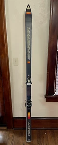 Dynasty Dynastar Omega Skis W/ Bindings Acrylic Core RARE VTG - Picture 1 of 12