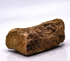 300ct Orange Black Amber Fossil Rough UV Reactive Gemstone Mineral Raw Indonesia - Picture 1 of 6