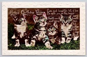 Kittens Blue Eyes Loving Birthday Wishes EMB Border RPPC (2F83) - Picture 1 of 2