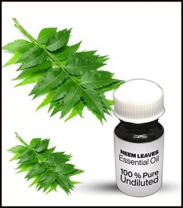 Neem Leaves Essential Oil 100% Pure Undiluted (10ML-500ML) - Bild 1 von 1