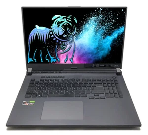 ASUS ROG Strix G17 G713RM 17,3" QHD 240Hz Ryzen 9 6900HX 16GB 1TB RTX 3060 MUX - Afbeelding 1 van 5