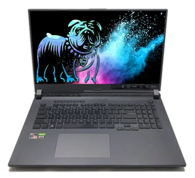 ASUS ROG Strix G17 G713 16" 360Hz FHD Ryzen 9 6900HX 16GB 1TB RTX 3070 Ti A-Sync - Bild 1 von 4