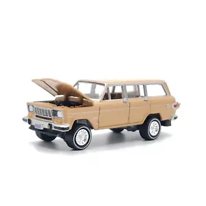 Jeep Wagoneer 1980 80 coleccionable escala 1/64 diorama diecast modelo excelente - Imagen 1 de 10