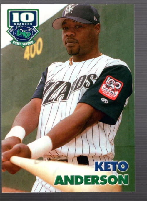 Cartões de beisebol B7486- 2002 Grandstand Minor League -Você escolhe - 15+ FRETE GRÁTIS DOS EUA - Imagem 1 de 1