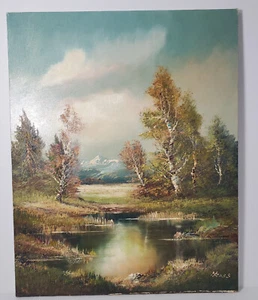 Dipinto paesaggio olio tela firmato H Ross 30x24 vintage anni 80 montagne fiume legno - Foto 1 di 21