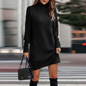 Turtleneck Cozy Sweater Dress - Picture 1 of 36