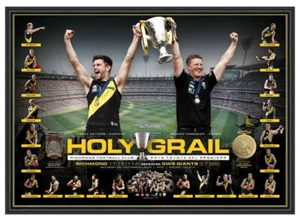 RICHMOND TIGERS 2019 AFL PREMIERSHIP PREMIERS HOLY GRAIL FRAMED MEMORABILIA - Picture 1 of 2
