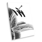 AB119 Black White Abstract Portrait Canvas Picture Print Wall Art Lily Flower