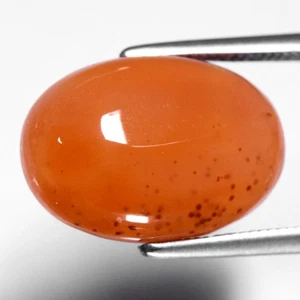 π 6.16ct 14.2x9.8mm Oval Cabochon Natural Orange Carnelian - Africa Gemstone - Picture 1 of 4