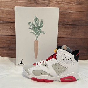 retro 6 jordan hare