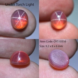 4.90 Ct 9.2x8 MM Orange Star Sapphire 6 Rays Lab Created Corundum OYS10316 - Picture 1 of 6