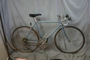 1987 Giant RS900 Road Bike Small 54cm Steel Shimano Tourney Dia-Compe! - Picture 1 of 24