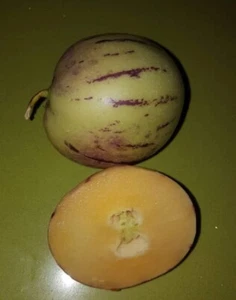 MELON PEPINO solanum muricatum RICA FRUTA 50 semillas - seeds - Imagen 1 de 1