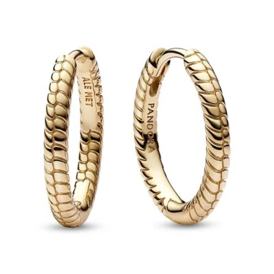 Pandora Moments Kleine Charm-Ohrringe 262728C00 - Bild 1 von 2