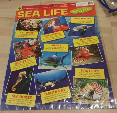 Teaching Tree Educational Posters Sea Life and Animal Fun Facts - Image 1 of 2