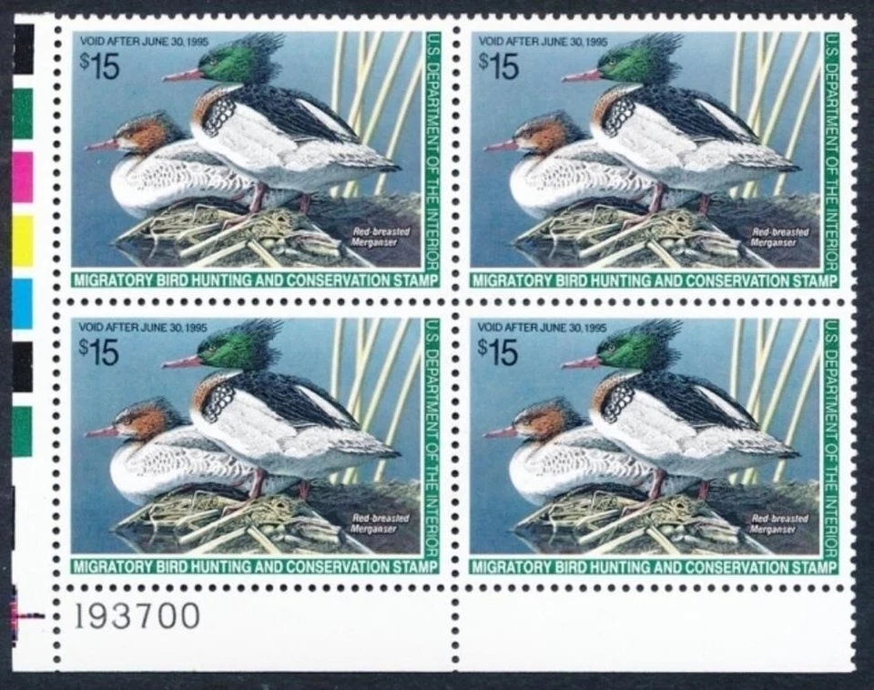 RW61 P/B Red Breasted Mergansers Duck Stamp MNH OG Cv125.00 - Image 1 of 1