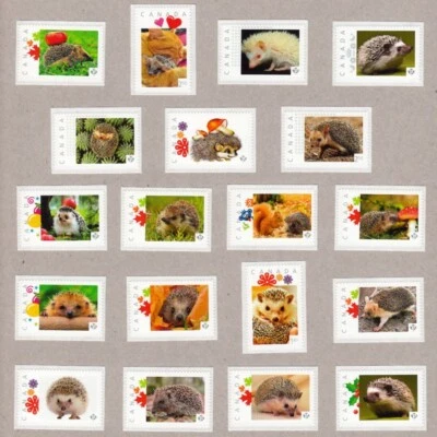 HEDGEHOG = colección de 19 sellos postales fotográficos MNH Canadá 2014-2015 Foto 1 de 4
