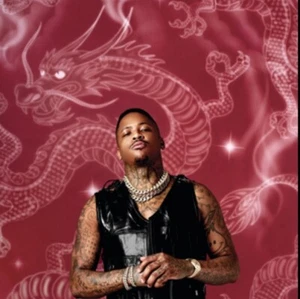 YG Stay Dangerous Cassette Ltd Ed Red Shell Rap Big Sean Nicki Minaj Suu Whoop - Bild 1 von 3