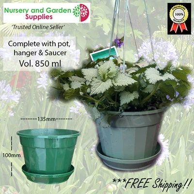 140mm Hanging Basket / Plant pot, hanger, saucer - flowers, herbs, succulents - image 1 of 4