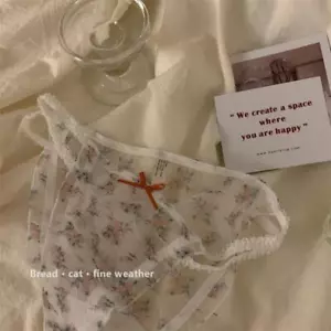 Women's Thin Breathable Cute Floral Lace Sexy Bandage Panties Underwear - Picture 1 of 15