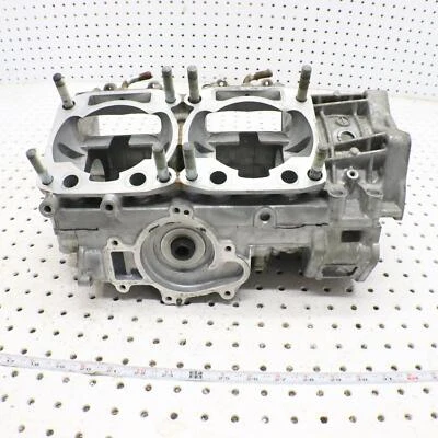 Arctic Cat F5 2007 caja de cigüeñal caja de motor 3007-612 Foto 1 de 4