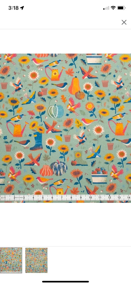 2 YDS UNCUT SUPER SNUGGLE FLANNEL FABRIC FUNKY FALL GARDEN JOANN NEW FALL AUTUMN - Image 1 of 1