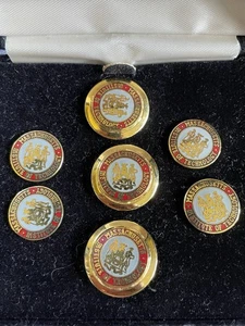 BEN SILVER Massachusetts Institute Of Technology MIT Collegiate Blazer Buttons - Picture 1 of 16