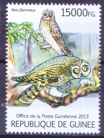 Guinea 2013 MNH, búho de orejas cortas, aves rapaces [Ts] Foto 1 de 1