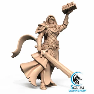 Leobrenda - Human Cleric Paladin - Signum Games - Fantasy Dungeons and Dragons - Picture 1 of 2
