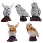 Miniature Owl Figurines Owl Sculpture Micro Garden Decoration