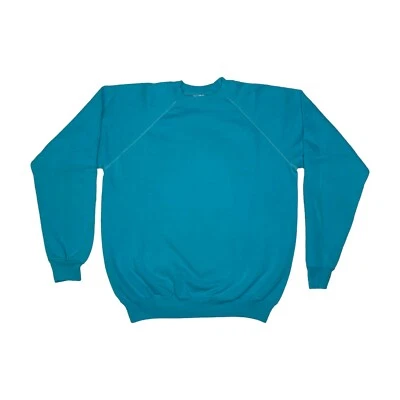 Vintage Hanes Blank Long Sleeve Crewneck Sweatshirt. Sky blue. Fleece lined. - Image 1 of 4