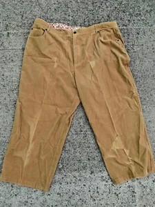 LIZ CLAIBORNE Woman Tabitha Camel Buckskin Corduroy Women Pants Sz 22P 👗gn3-m12 - Picture 1 of 8