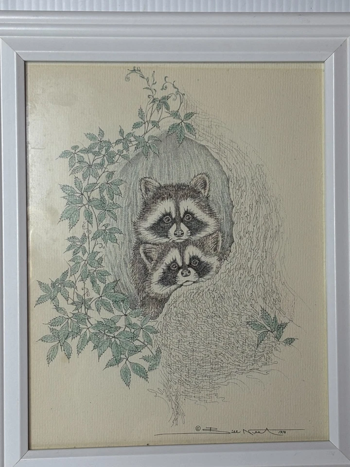 Boceto artístico vintage años 70 Bill limpio tinta dibujo mapache bosque animal enmarcado 8x10 Foto 1 de 4