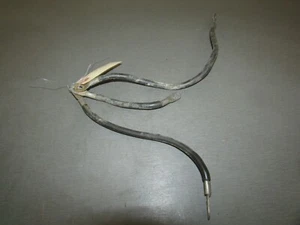 Polaris Predator 500 2005 vehículo todo terreno, cables eléctricos de tierra 4011170 - Imagen 1 de 5