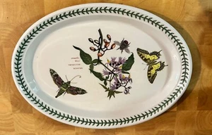 Plato ovalado vintage Portmeirion Botanic Gardens Solanum Dulcamara - Imagen 1 de 3