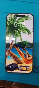 OEM Apple iPhone 16 Pro Screen Has a SPOT and Flickers NO CRACKS LCD ONLY - Zdjęcie 1 z 3