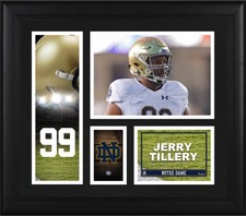 Jerry Tillery Notre Dame Fighting Irish Framed 15' x 17" Collage